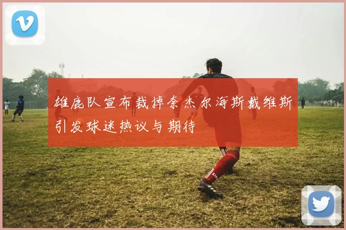 雄鹿队宣布裁掉奈杰尔海斯戴维斯引发球迷热议与期待