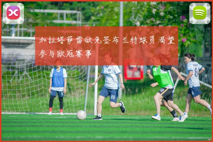 加拉塔萨雷欲免签布兰特球员渴望参与欧冠赛事